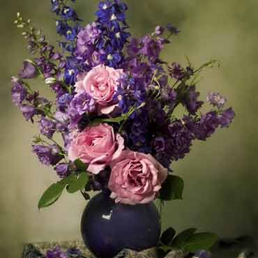 温馨的在线手机号压力测试